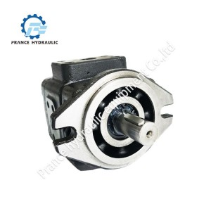 Internal Gear pump HG for Plastic Injection Molding Machine