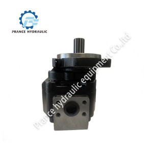 Gear motor PGM