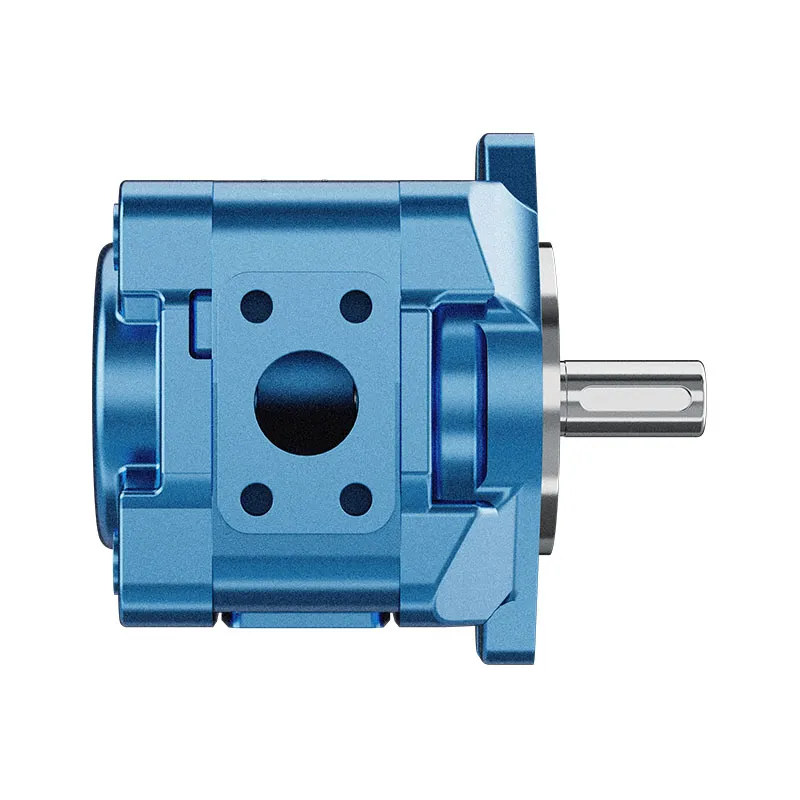 HG1-25-1 (2) Internal Gear pump HG for Plastic Injection Molding Machine